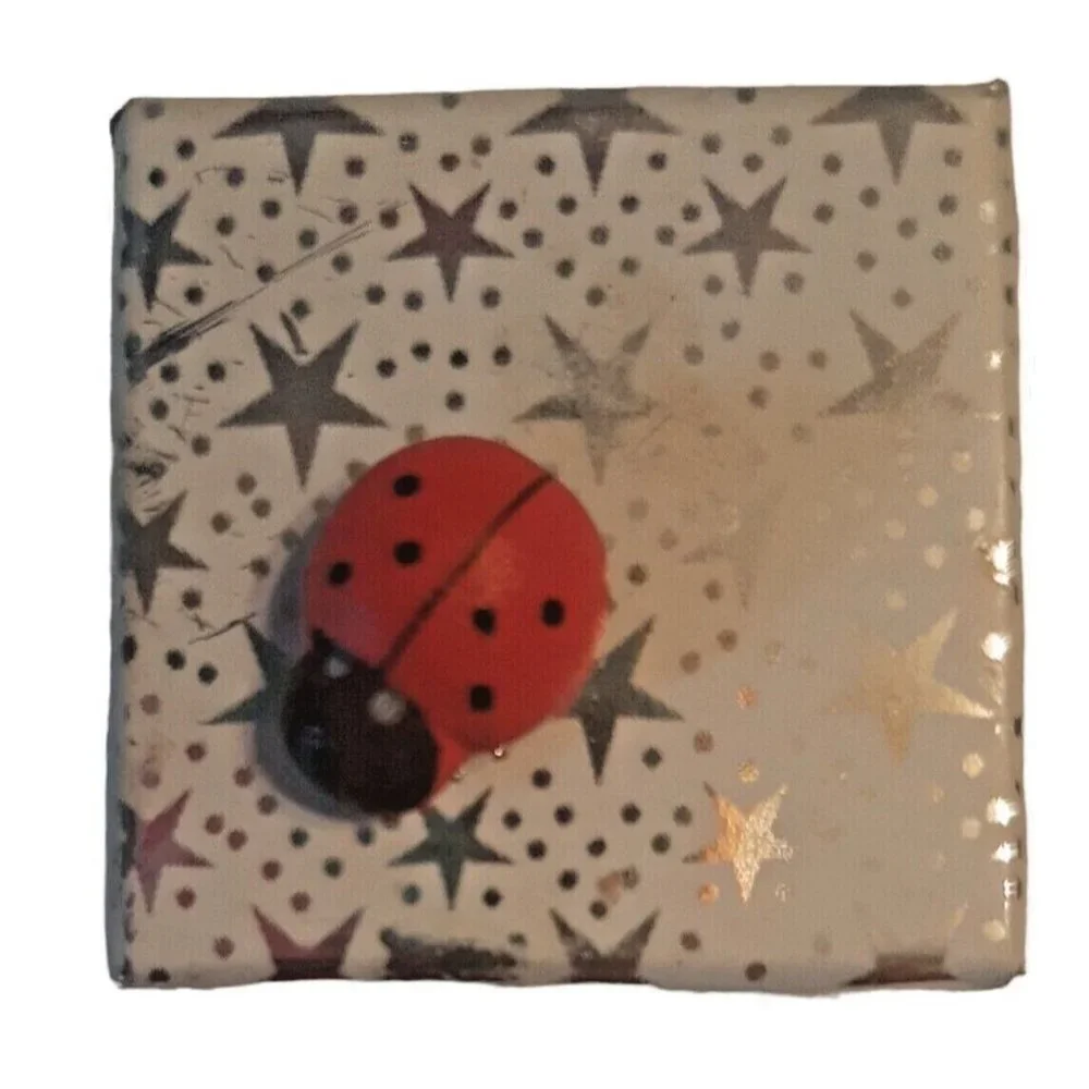 Tiny Ladybug Gift Box Empty 1.25 Inches Square Silver Stars